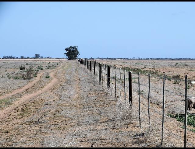 603HA FARM FOR SALE IN HOPEFIELD RURAL